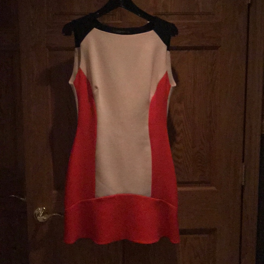 Color block Zara Dress